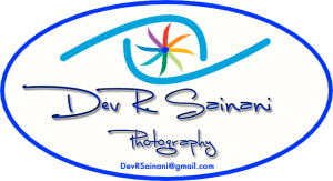  DRSPhotography
